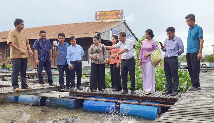 Nhiều hoạt động hỗ trợ nông dân phát triển kinh tế&nbsp;