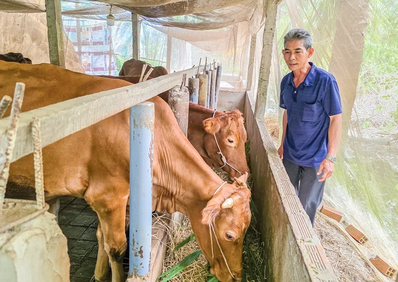 Ngành chăn nuôi và thú y còn nhiều dư địa nâng cao giá trị&nbsp;