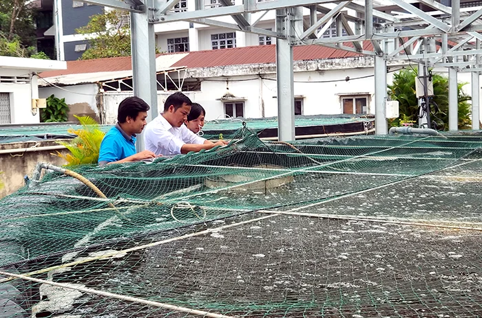 AI - “Chìa khóa” phát triển nông nghiệp hiện đại, bền vững&nbsp;