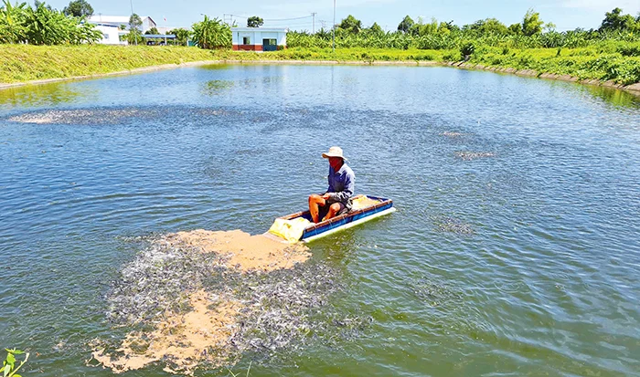 Đảm bảo cung cấp giống cây trồng, vật nuôi an toàn, chất lượng cao cho sản xuất&nbsp;
