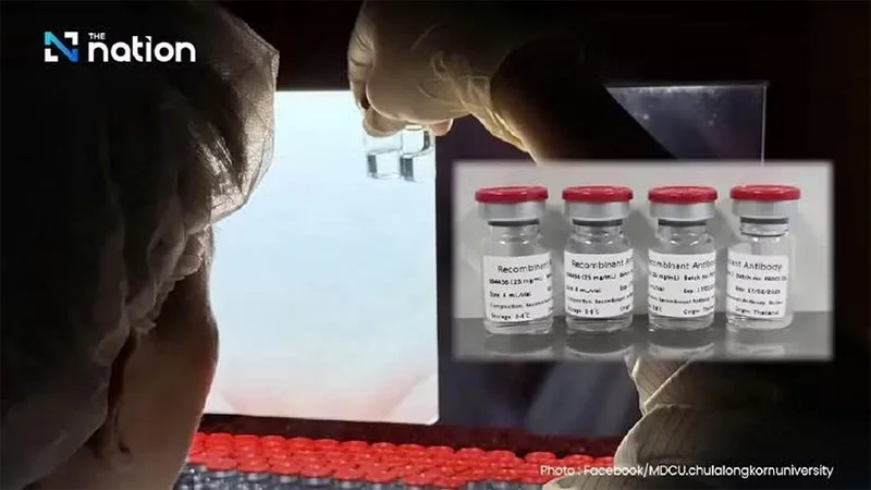 Đột phá mới trong điều trị ung thư bằng liệu pháp miễn dịch&nbsp;