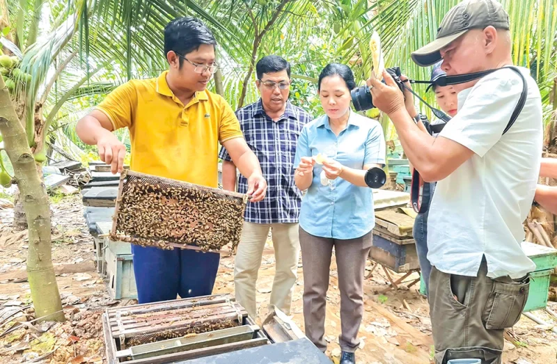 Bảo tồn hệ sinh thái, phát triển mô hình ứng phó biến đổi khí hậu&nbsp;
