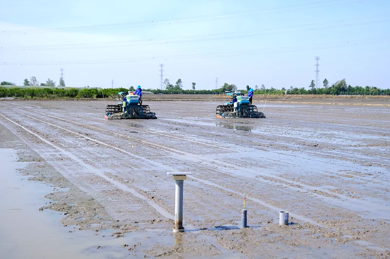 Kỳ vọng tiếp sức trí thức trẻ trong “hành trình ngược dòng”&nbsp;
