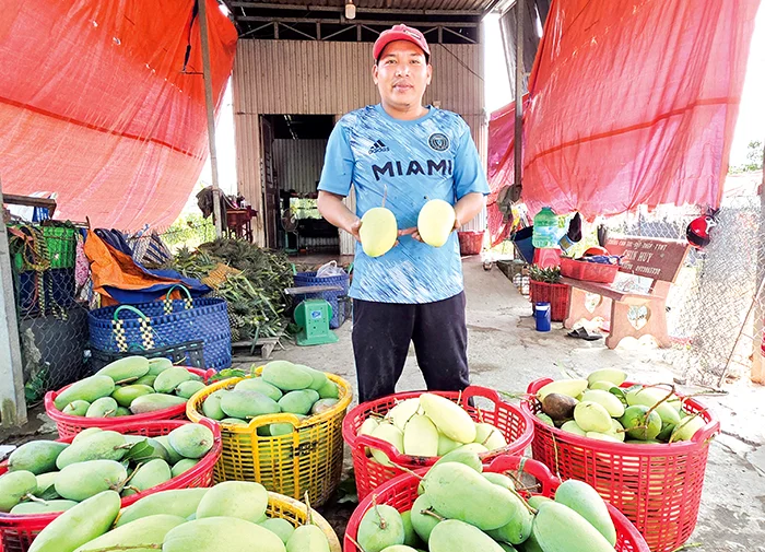 DẠO QUANH THỊ TRƯỜNG (14-5-2026)&nbsp;