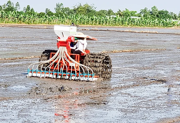 Đẩy mạnh chương trình giảm lượng giống gieo sạ trong sản xuất lúa&nbsp;