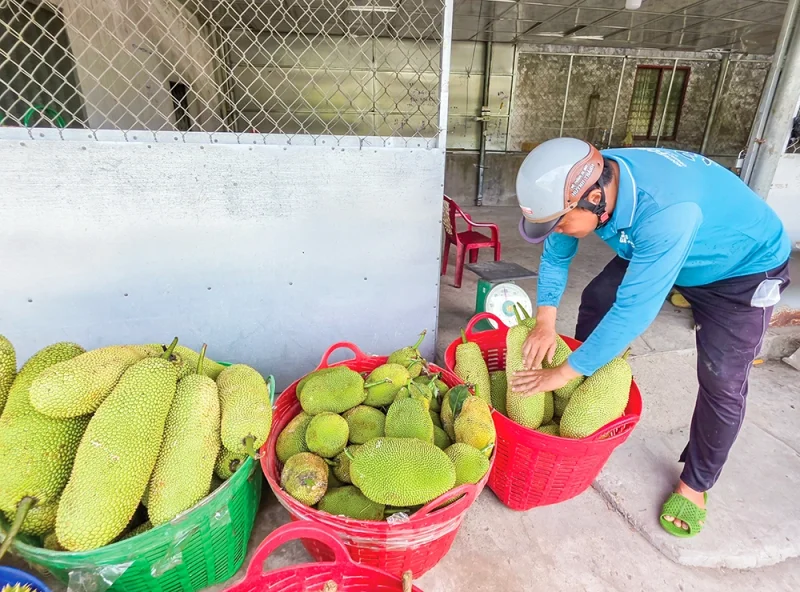 Dạo quanh thị trường ngày 29-5&nbsp;