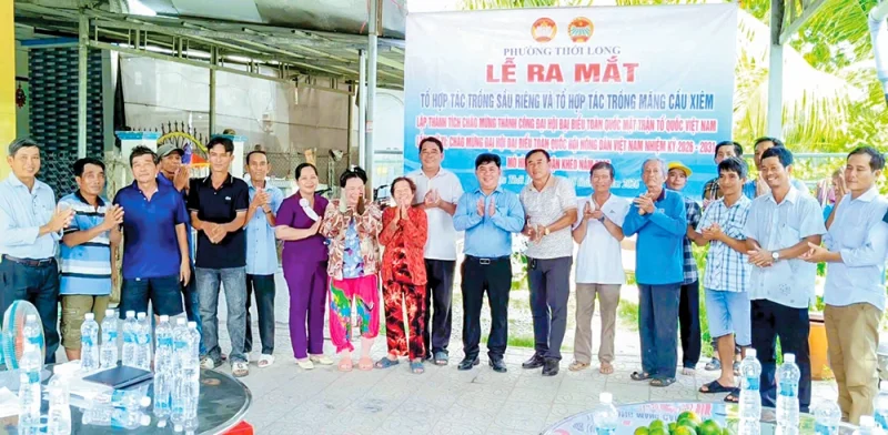 Ra mắt 2 mô hình tổ hợp tác&nbsp;