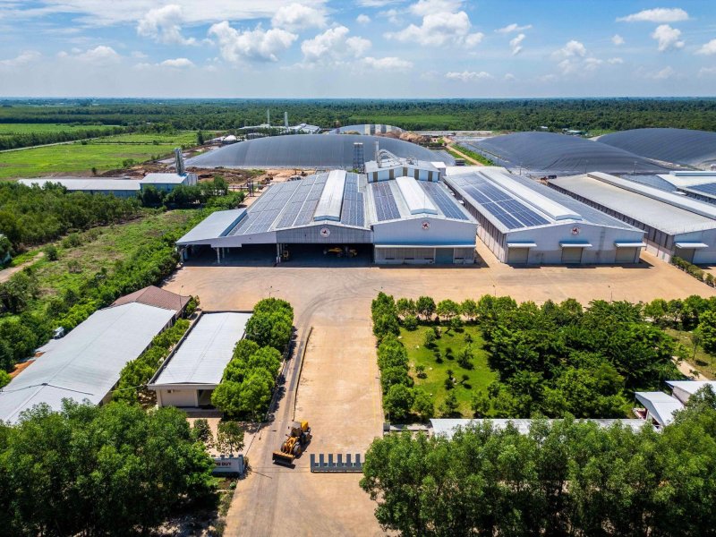 Hùng Duy Starch và hành trình đưa tinh bột mì biến tính Việt Nam vươn ra quốc tế&nbsp;