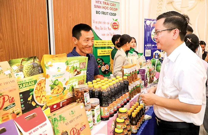 Đẩy mạnh liên kết, mở rộng không gian tăng trưởng&nbsp;