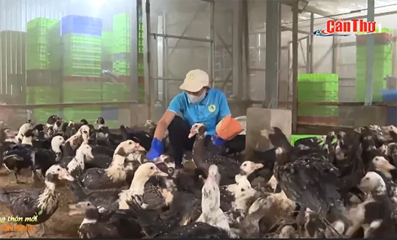 Bức tranh “Nông thôn mới vươn mình”&nbsp;