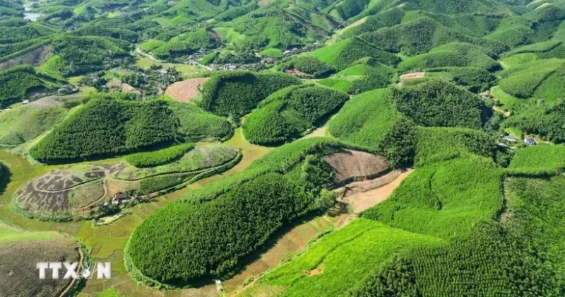 Thị trường carbon Việt Nam: Chuyển từ đối thoại sang chủ động tạo ra giá trị&nbsp;