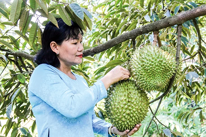 Cái Răng tập trung tái cơ cấu ngành Nông nghiệp&nbsp;