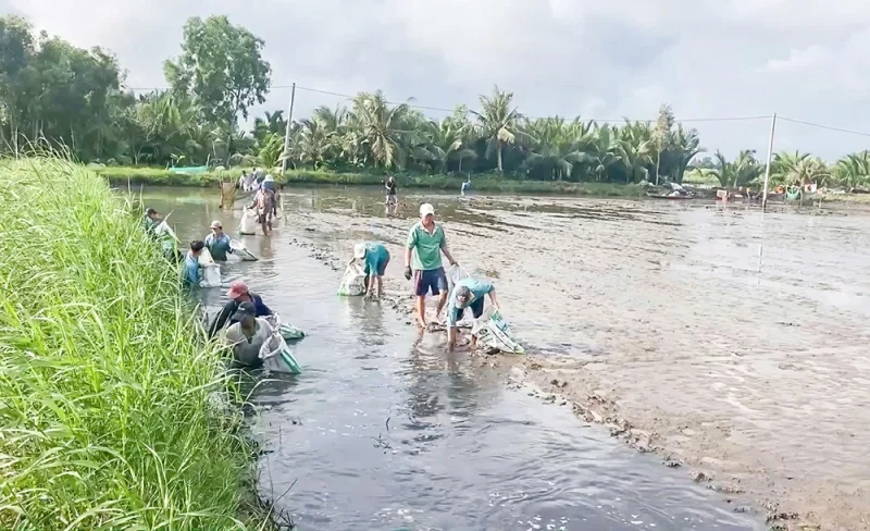 Dựa vào thiên nhiên thích ứng biến đổi khí hậu&nbsp;