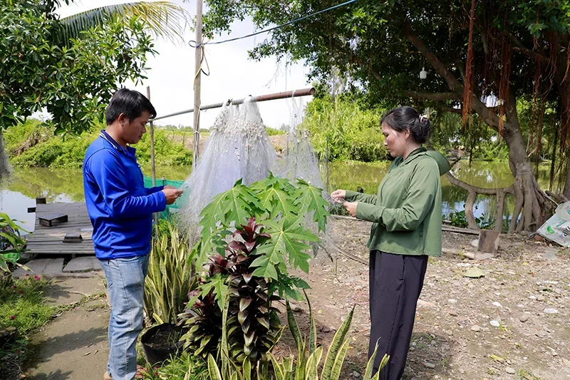 Mơ ước một mái nhà&nbsp;